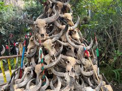 -呀路古热带植物园