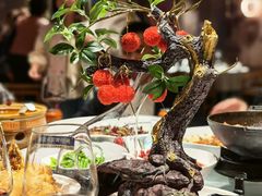 -唐猫庭院·千年陕菜(大唐不夜城店)