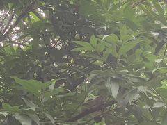 -南国桃园旅游度假区