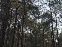 -Club Med地中海俱乐部·桂林度假村