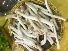 -清真·马家火锅美食城(镇江北路店)