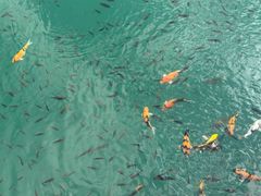 -水濂山森林公园