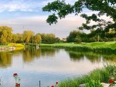 -万柳高尔夫俱乐部