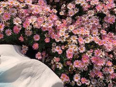 -南诏风情岛