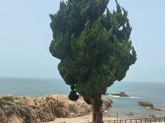 -小麦岛公园