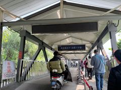 -浦口码头(轮渡站)