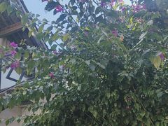 -浔岚云舍mist静谧观景美宿(丽江古城店)