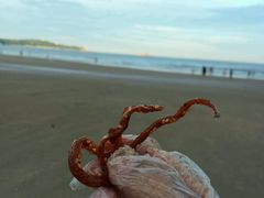 -普陀山风景名胜区-千步大沙