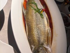 -醉庐·新上海菜(南京西路店)