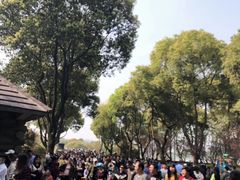 -昆山城市生态森林公园