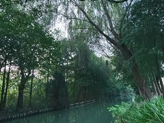 -同里国家湿地公园