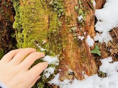 -山王坪喀斯特国家生态公园
