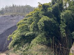 -九曲溪竹筏码头