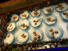 -豪食披萨烤肉自助(保定商场店)