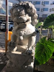-欧扬医疗美容