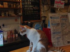 -猫的天空之城概念书店(西塘古镇店)