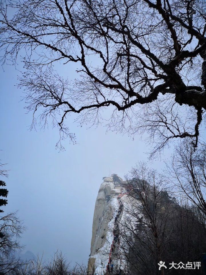 迫不及待地由远及近、自上而下地眺望