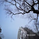 迫不及待地由远及近、自上而下地眺望