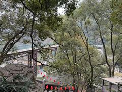 -巴倒烫陆派重庆火锅(南山店)