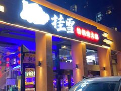 -挂雪铁锅炖大鹅