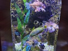 -太平洋海底世界