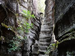 -梭布垭石林景区