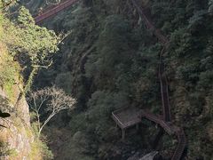 -旗山国家森林公园
