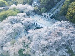 -苏州上方山国家森林公园