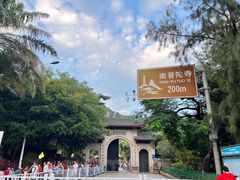 -南普陀寺