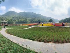 -广州市石门国家森林公园