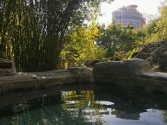 -河源客天下-温泉小镇