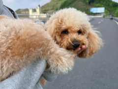 -江南天池
