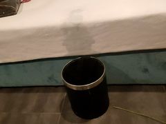 -大瀚养生SPA足道会馆(长逸店)