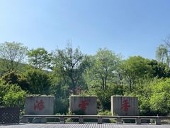 -香雪海