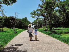 -盘龙城国家考古遗址公园