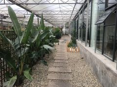 -桉树林A coffee 森林餐厅(三圣乡店)