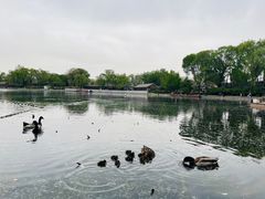 -郭守敬纪念馆
