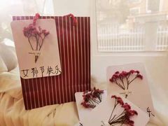 -北科婴幼学苑