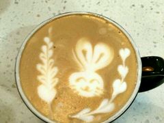 -Gloria Jean's Coffees