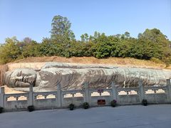 -三水森林公园