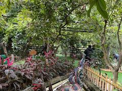 -呀路古热带植物园