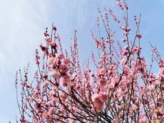 -滨湖塘西河公园
