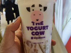 -一只酸奶牛(时代天街A馆店)