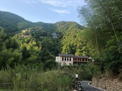 -宁海安岚·南溪阁全日餐厅
