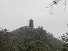 -缙云山景区