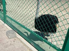 -新疆天山野生动物园