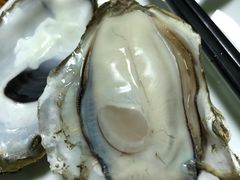 -大富蚝乌东哥饭店·石锅鱼杂·柠檬鸭(革新路店)