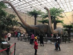 -国家自然博物馆