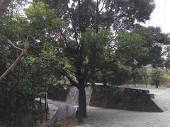 -广州市帽峰山景区