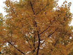 -金堂县云顶石城风景区